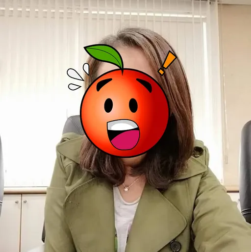 台南市女議員找婆婆、姊姊詐領助理費　繳千萬換5年緩刑