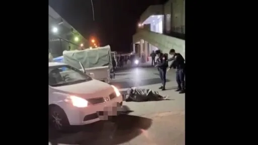 花莲男违规被拦不停 警围捕遭冲撞!开枪破窗逮人