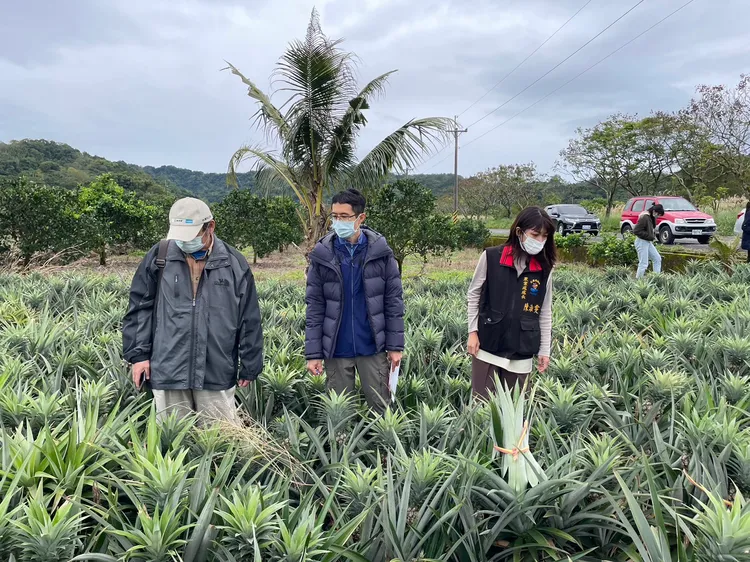 花蓮縣府勘災。農業處提供