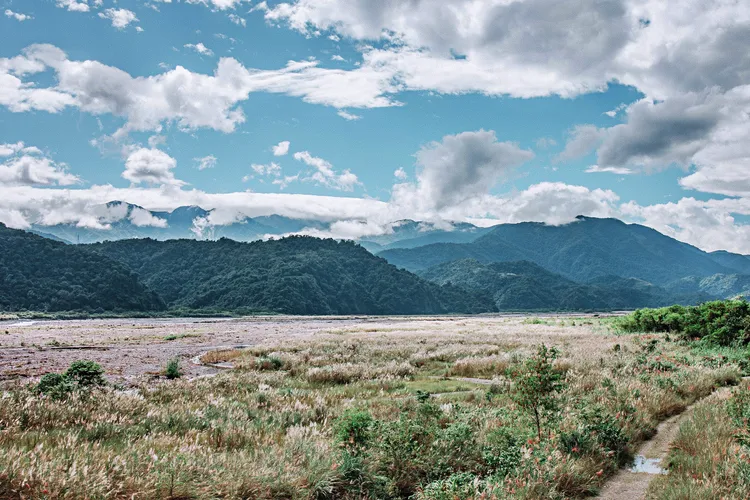 蘭陽溪出海口、噶瑪蘭橋上游、泰雅大橋、粗坑等河段，都可見到蘭陽溪季節限定的秋冬美景。一河局提供