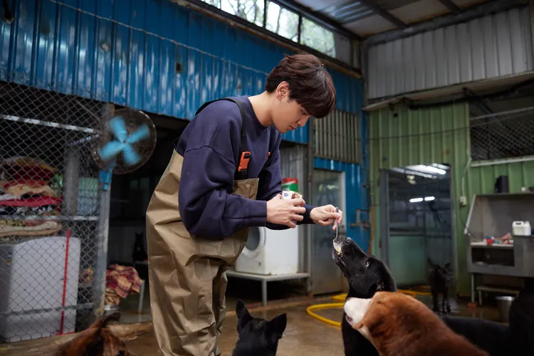 陳零九親餵浪浪們。愛最大慈善光協會提供