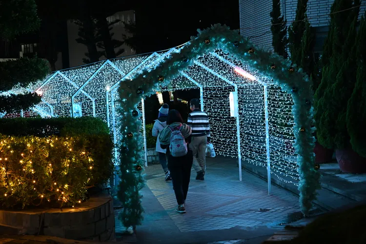 台東縣府前打造濃濃藍色聖誕節氣息。台東縣府提供