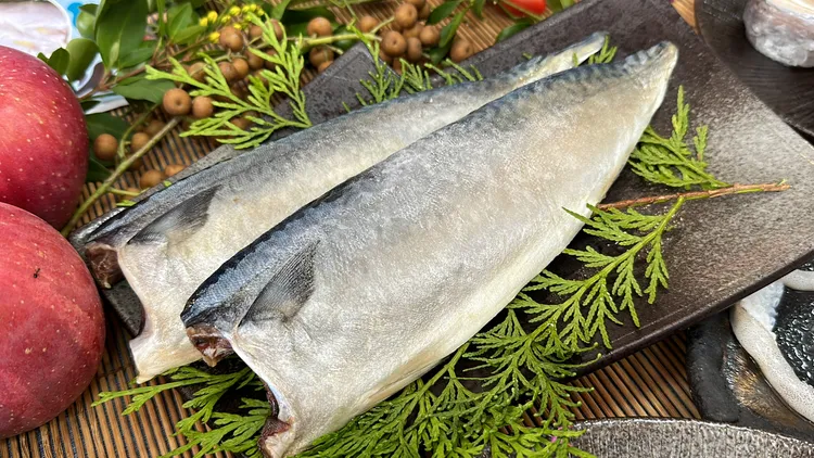 鯖魚。林泊志攝