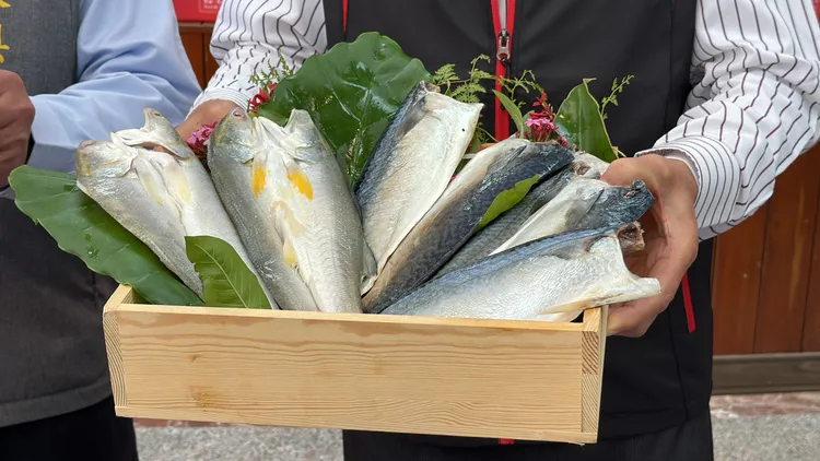 漁會推出以午仔及鯖魚組成的「午鯖の禮盒」，每盒當中都有160g白腹鯖魚片12入及200g的午仔魚3入。林泊志攝