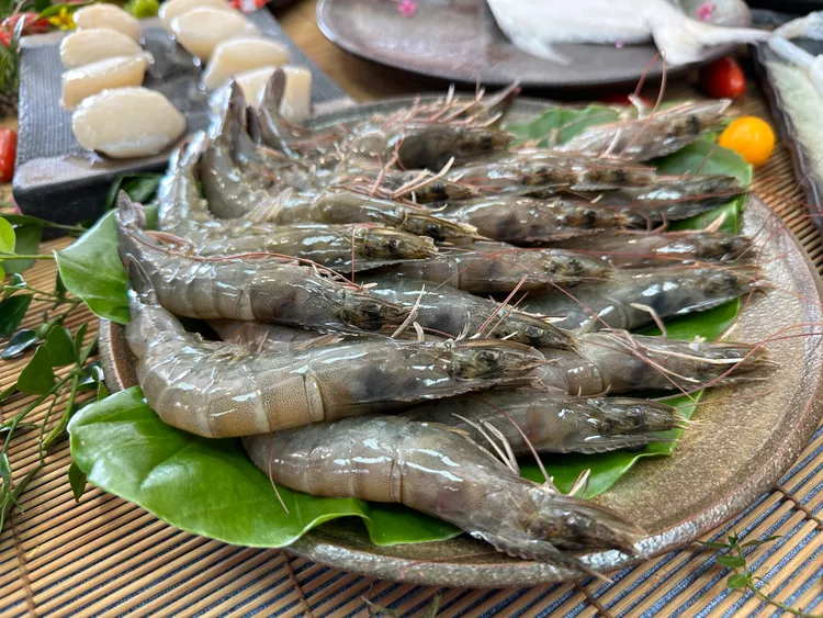 白蝦。林泊志攝