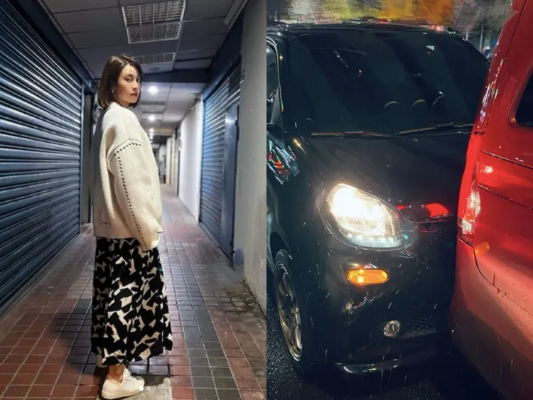 大元日前出車禍，鼓鼓透露她受到驚嚇，所幸人無大礙。翻攝自大元IG
