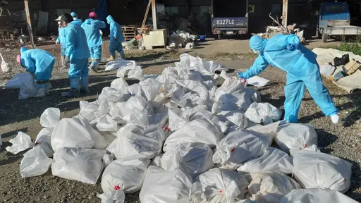 H5N1禽流疫情隨候鳥抵台急升 彰化2日撲殺5場逾3萬隻雞鴨鵝