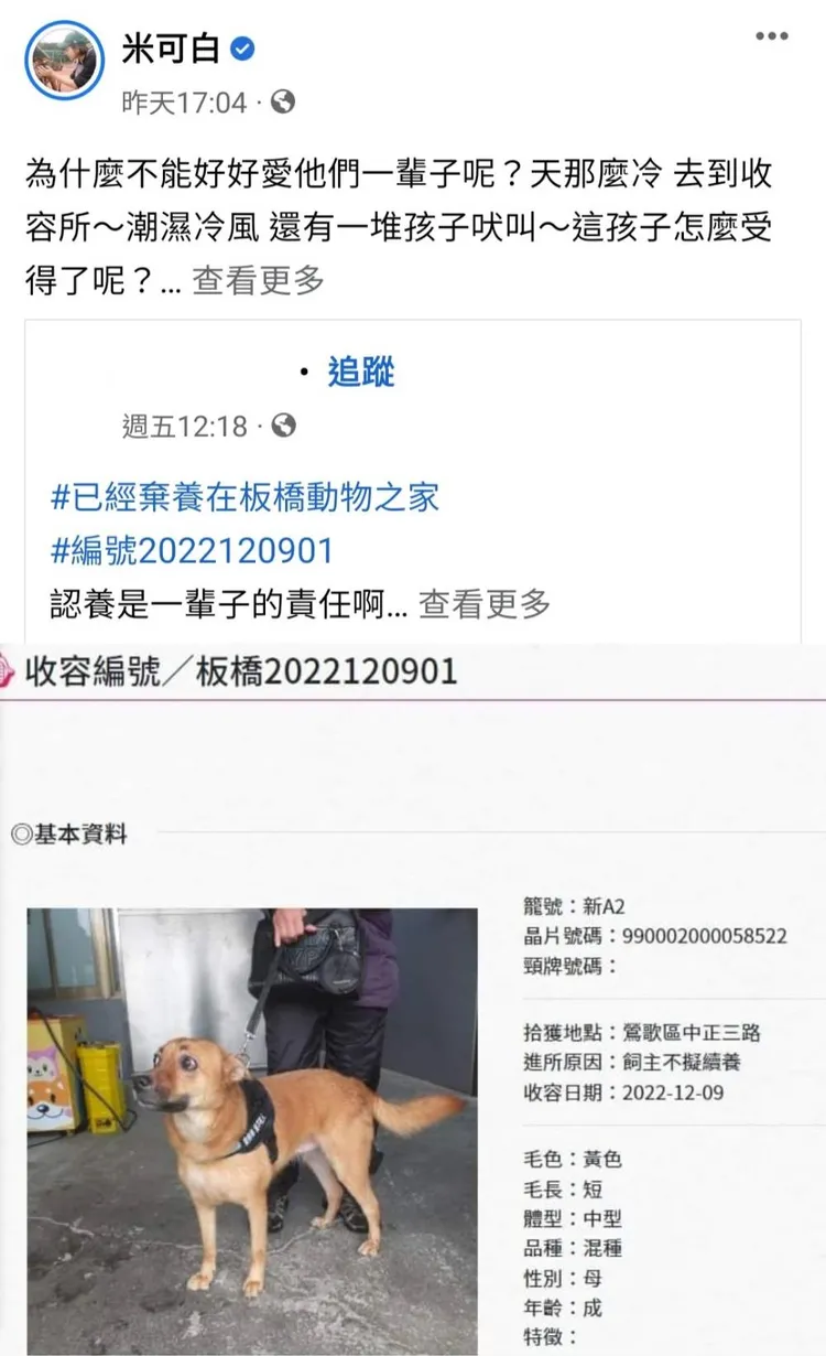 米可白對棄養一事非常難受。翻攝米可白臉書