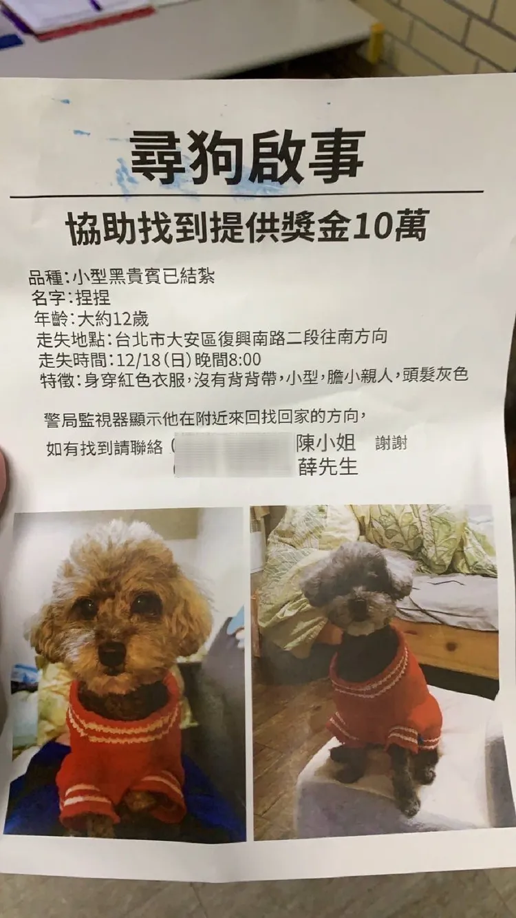 陳女張貼尋狗啟事並懸賞10萬。翻攝畫面