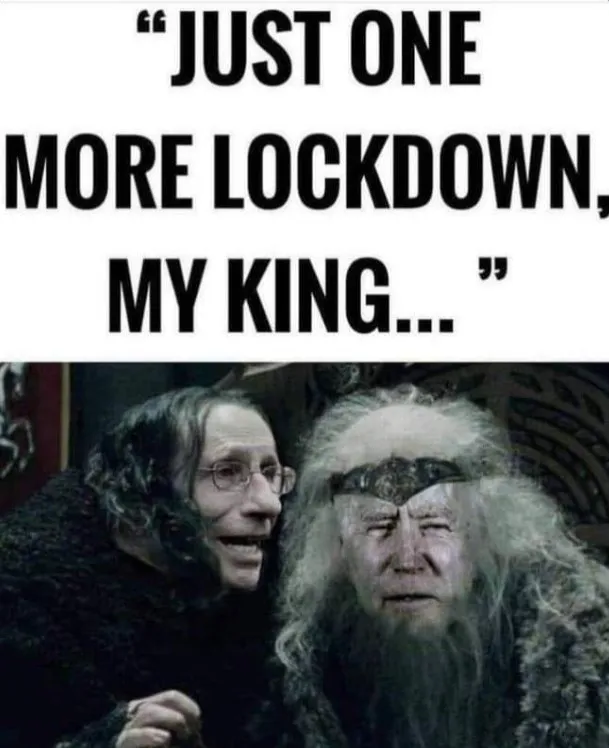 馬斯克上傳一個迷因圖，顯示佛奇俯身貼在美國總統拜登耳邊跟他說，「再封鎖一次，我的國王…」。翻攝twitter/elonmusk