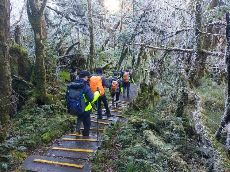 寒流來襲，山區林木結霧淞，地面結冰，增加搜救難度。讀者提供
