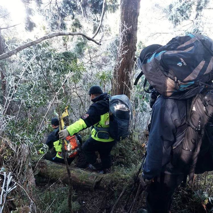 寒流來襲，山區林木結霧淞，地面結冰，增加搜救難度。讀者提供