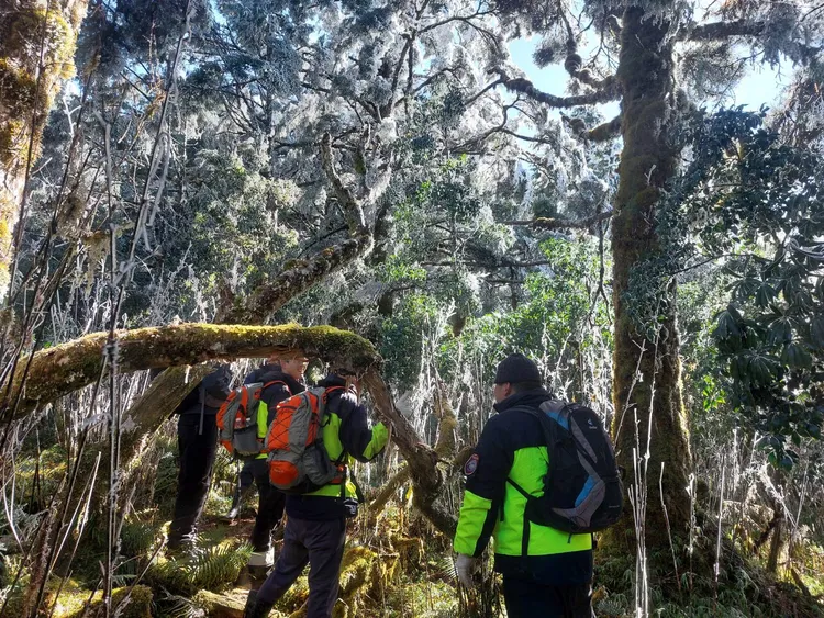 搜救隊入山搜尋黃男下落，沿途綠樹枝葉早已結上一層冰霜。讀者提供