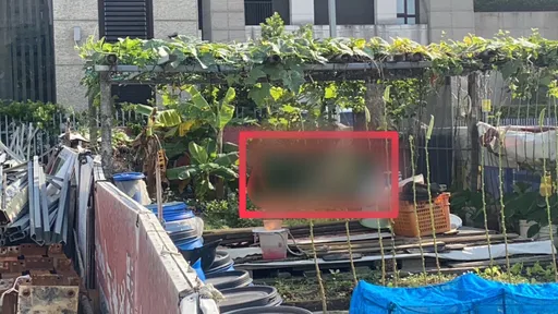 全台持續低溫!新莊1男子陳屍菜園 疑氣溫驟降冷死