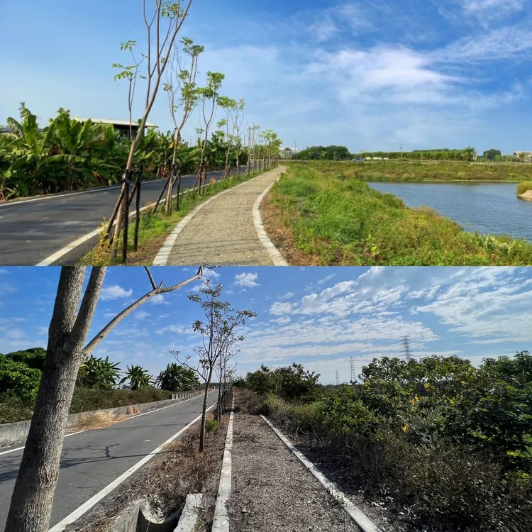 環池步道昔今相比落差大，明顯缺乏妥善維護。魏嘉良攝