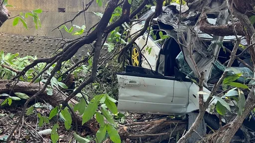 枋寮汽車疑閃貓衝進蓮霧園 副駕乘客送醫不治