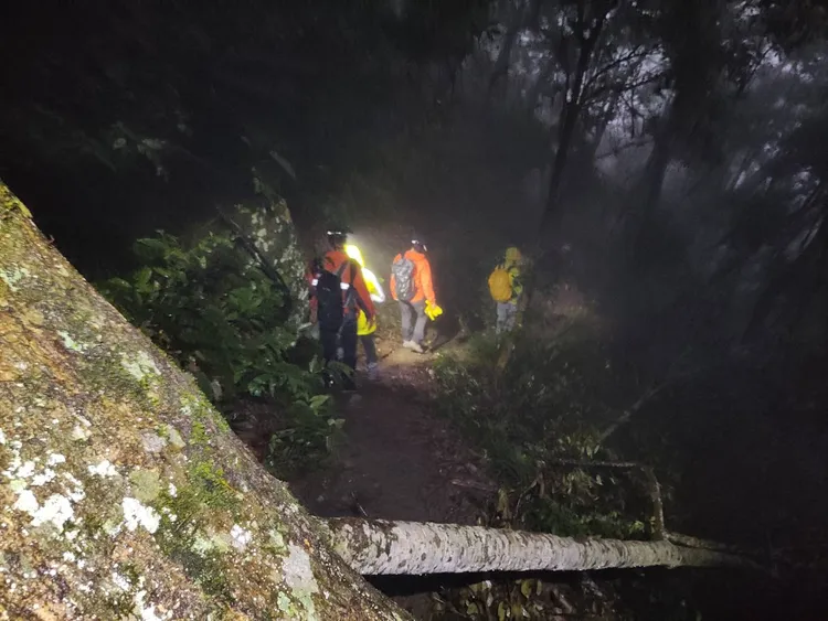 26人登山隊冒雨前往八仙山登山，兩名夫妻不慎滑倒摔落山谷受傷，搜救人員陪同下山。民眾提供