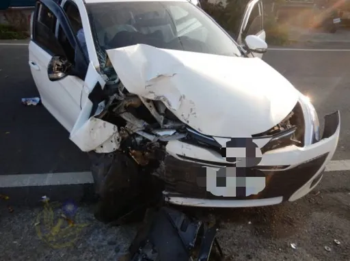 超離奇車禍! 「一隻蟲」害她家破人亡 夫死2稚子傷