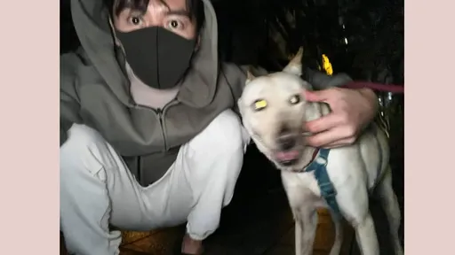 李國毅住家樓下安撫走失狗 「撩狗李」15分鐘尋回狗主人