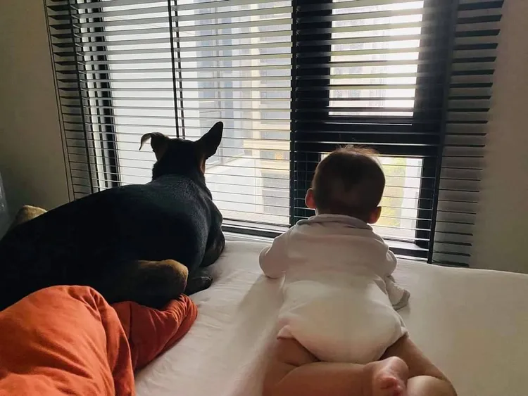 李國毅女兒和愛犬威廉相處融洽。翻攝李國毅臉書