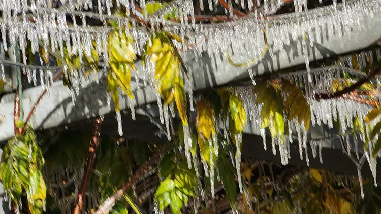 垂下的冰柱非常讓遊客多看一眼。民眾提供