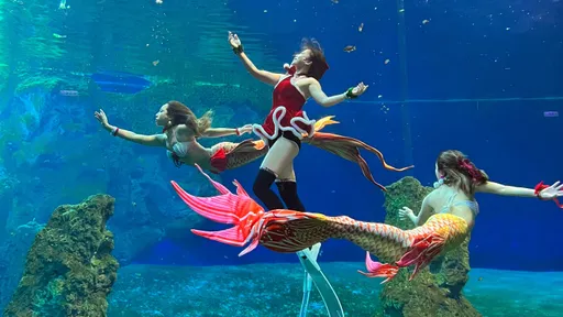 遠雄海洋公園攜手星巴克　聖誕節限定！喝專屬咖啡看美人魚