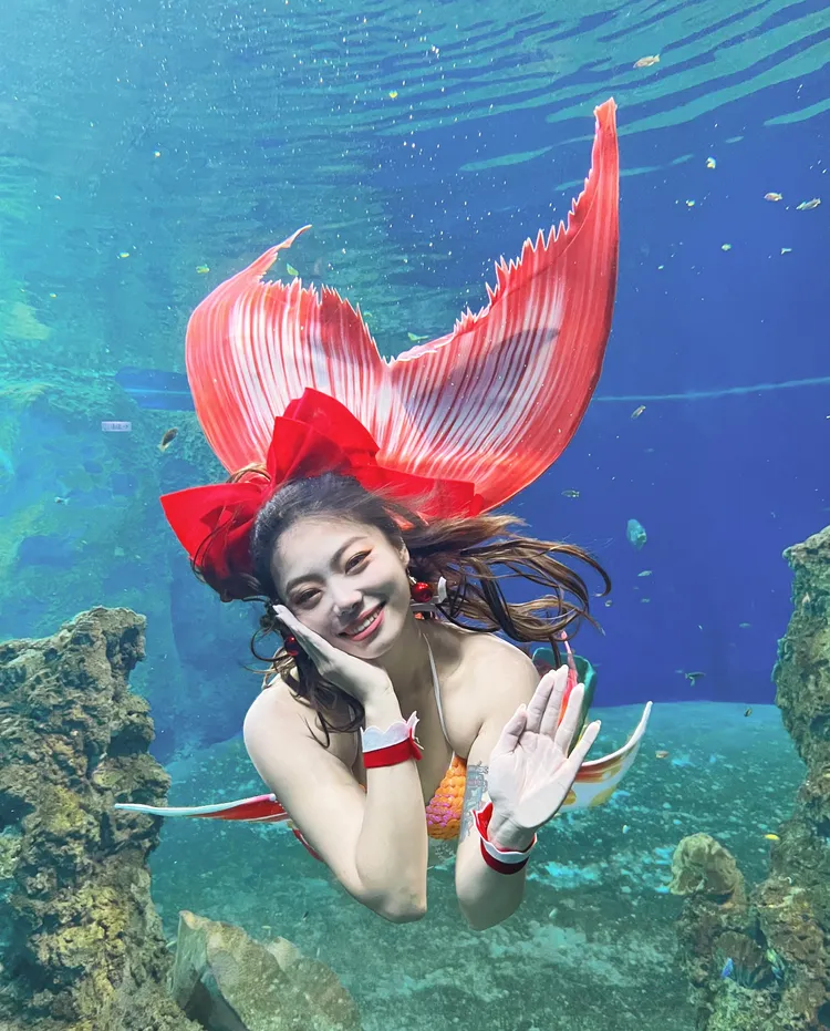 遠雄海洋公園12月推出限定版的人魚實境表演迎接聖誕。遠雄海洋公園提供