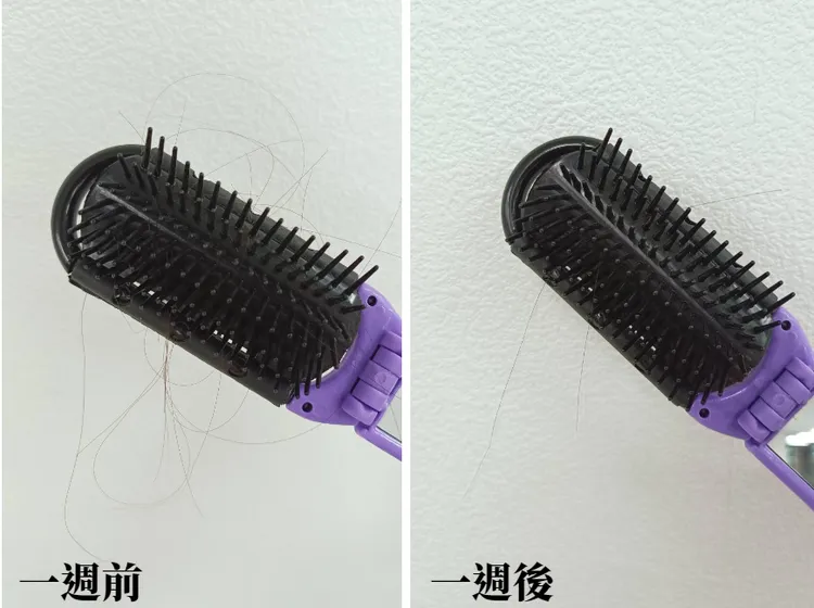 （左）一週前請女同事進行梳頭測試，才梳幾下梳子上就都是頭髮，頭髮非常易斷。（右）使用一週輕煥強韌洗/潤髮乳後再實際梳頭，發現梳子上殘留髮絲明顯變少。