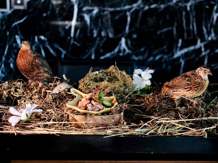 鵪鶉這道菜上桌時，有個特別設計出的展示台，展演著懷石料理中的風雅食藝文化。葉盛耀攝