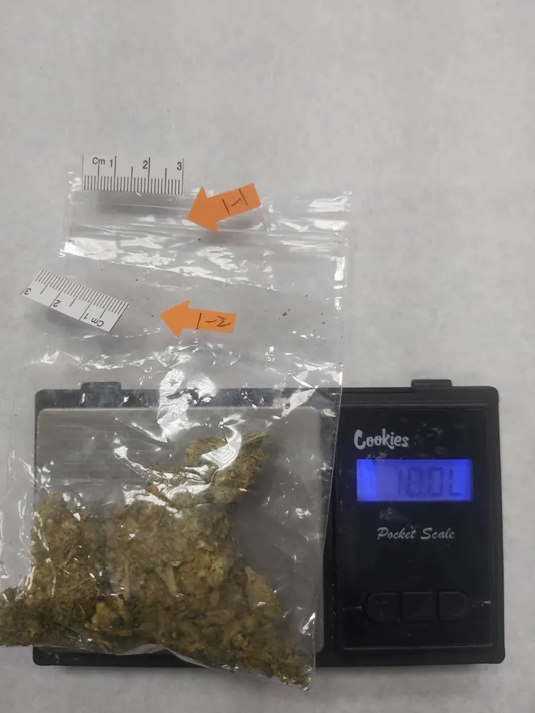 查獲的部分大麻。翻攝畫面