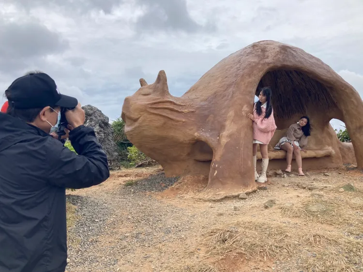 傻眼貓咪。陳宏銘攝