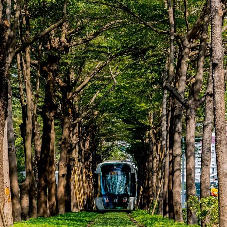 高雄輕軌美術術館路段2022年開通，其中的「龍貓隧道」引爆話題。資料照片