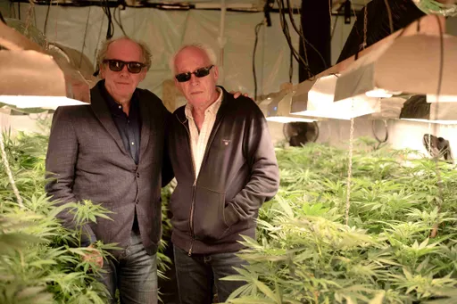 比利時警大力幫推種大麻　《有你就是家》該罰2500萬竟免責