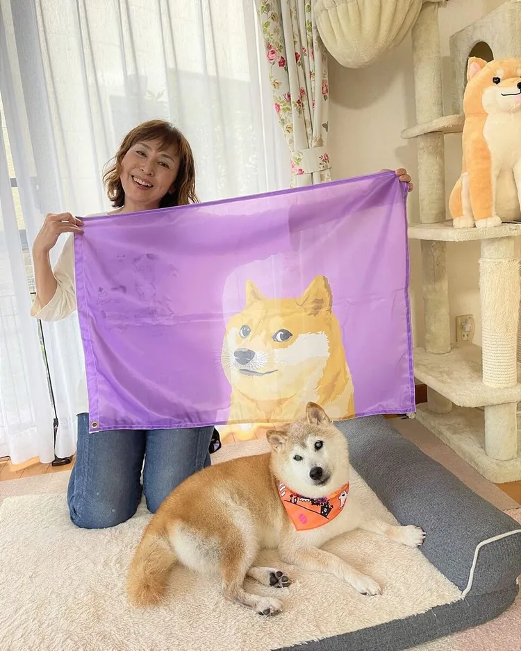 佐藤上個月才發布為Kabosu舉辦盛大17歲慶生派對的影片。翻攝IG@kabosumama