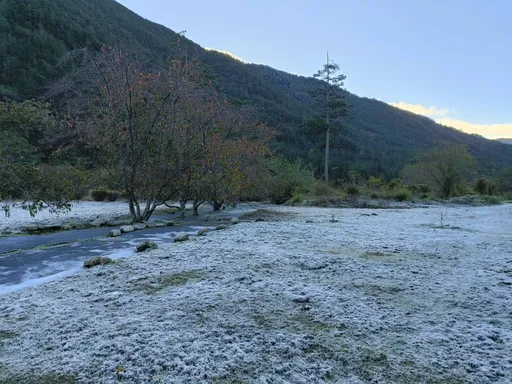 低溫1.4度!整片草原結霜 「雪白仙境」在台中