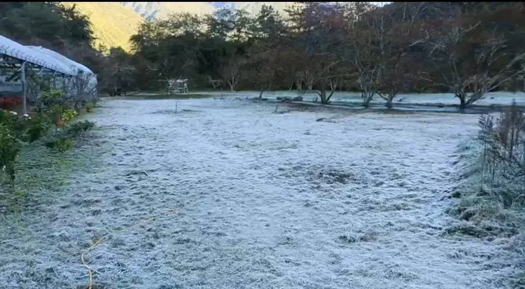 清晨發現草地上都結滿了霜。民眾提供