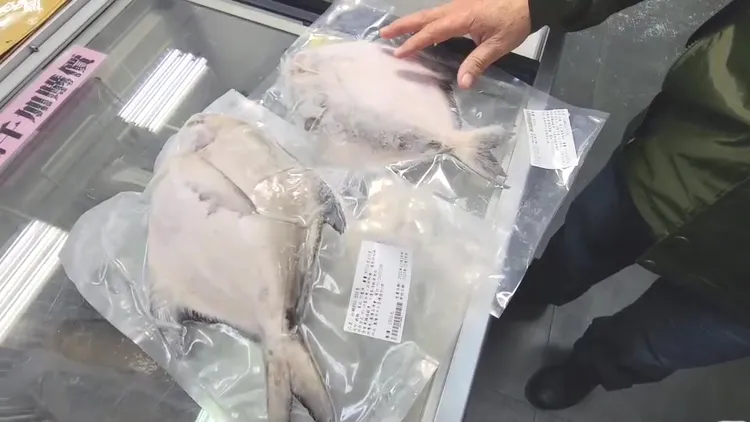 今年白鯧魚價格往年多25%左右。翻攝畫面