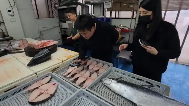 巨無霸土魠，隨便輪切一塊都比人臉大，而且肉色呈奶白色，油脂非常豐富。許逸民攝