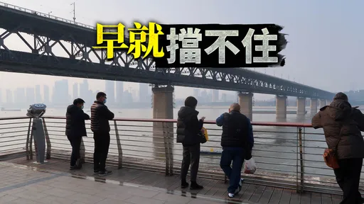中國鬆綁導致新冠疫情爆炸式增長？世衛專家：病毒早在那之前遽增