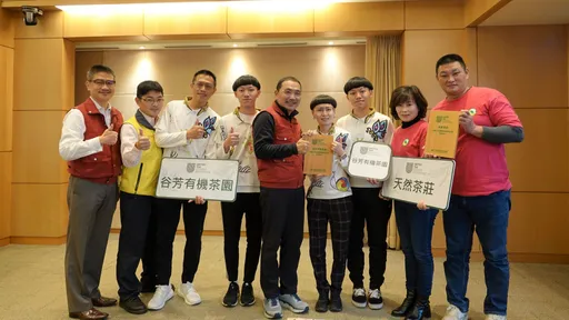 全國發酵茶製茶技術競賽 新北茶農創新奪佳績