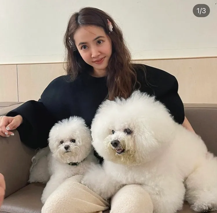 「屋虎」及「社長」一直是天后蔡依林生活中的開心果。翻攝bichon_whoohoo IG