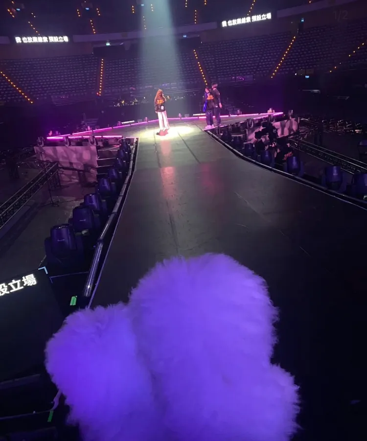 「屋虎」及「社長」陪伴蔡依林彩排。翻攝bichon_whoohoo IG