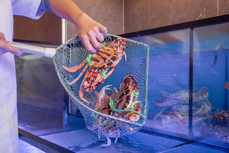 一入餐廳即有現撈海鮮區，讓饕客們能品嘗最新鮮的佳餚。「潮品集‧潮坊」提供