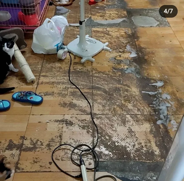 住家地板被燻黑。翻攝Amy IG