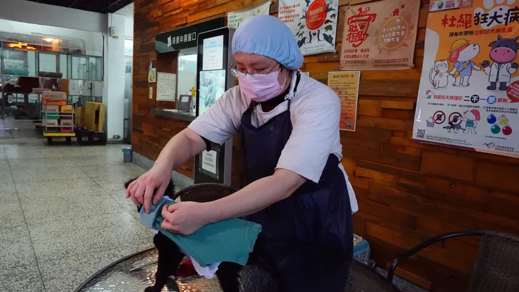 中途之家志工以民眾捐贈的舊衣物裁切出合適的大小尺寸，替幼犬們穿上進行保暖。林泊志攝