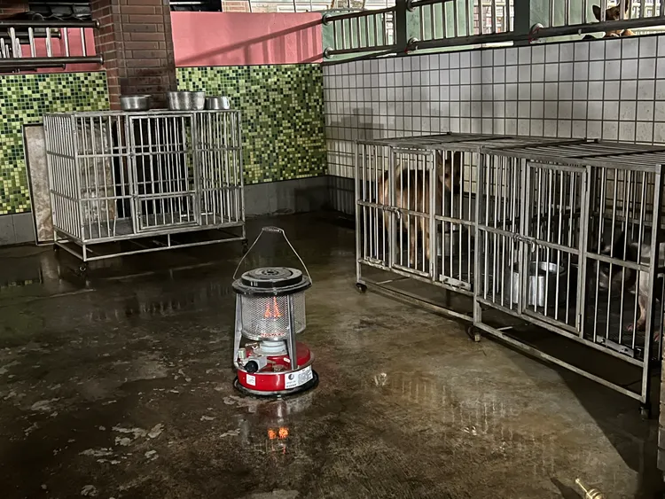 寒流來襲，宜蘭縣動植物防疫所流浪動物中途之家動物舍房入夜後點燃保溫燈及煤油暖爐，替收容的犬貓保暖禦寒。讀者提供