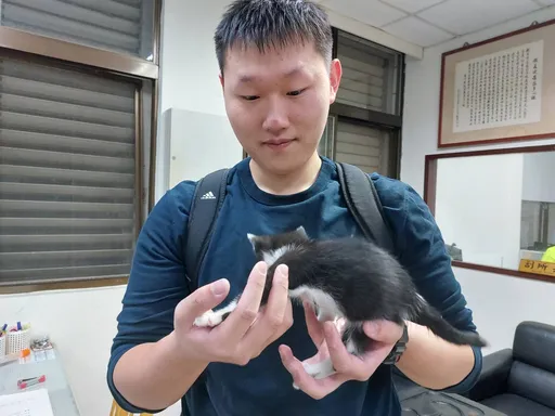 幼貓取暖受困汽車引擎室 桃園警攜手車主用這招救出毛孩