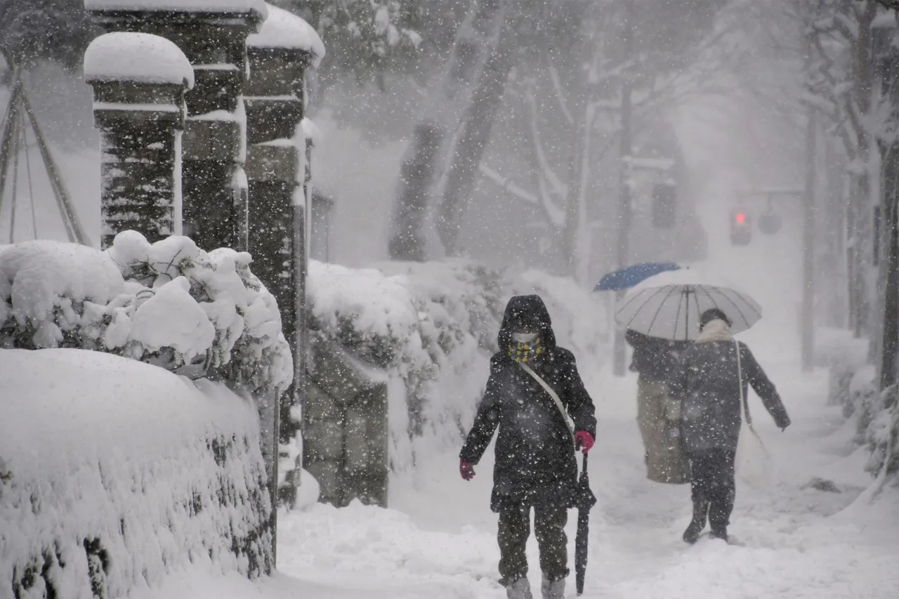 日本石川縣金澤市23日降下大雪。路透社