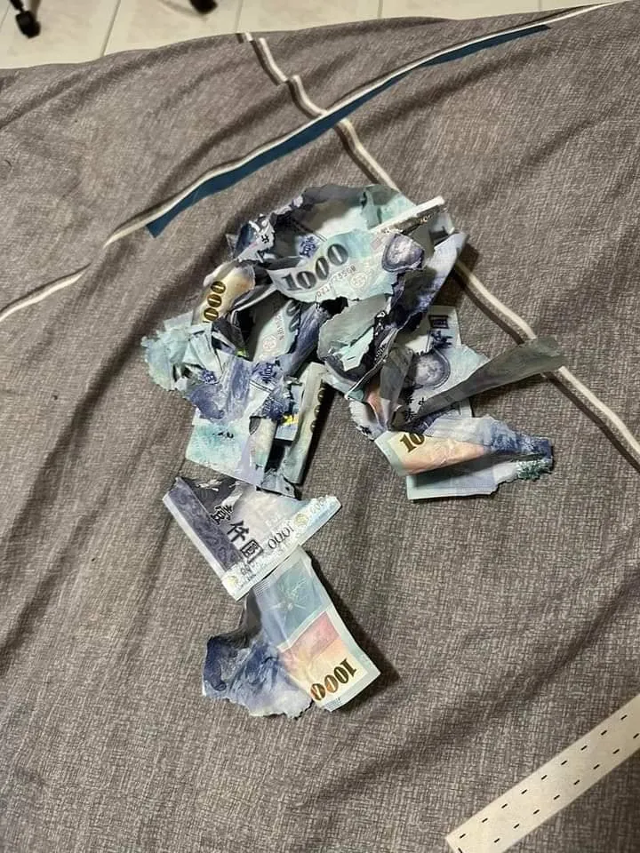 原PO貼出被愛犬咬碎的千元鈔，她的心也跟著碎了。翻攝爆怨公社