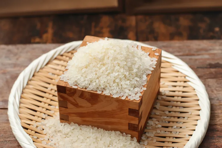 台南16號以越光米為母本、台農67號為父本，特色是米粒晶瑩剔透。業者提供